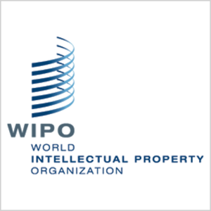 WIPO's World Intellectual Property Indicators 2024 report