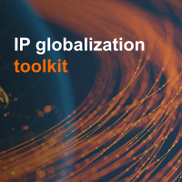 Explore IP globalization toolkit