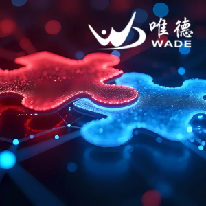 Dennemeyer and WADE partnership