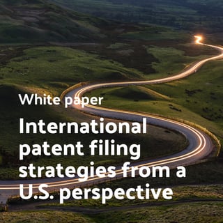 International patent filing strategies from a US perspective-newsletter-1
