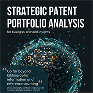 growth_06_Strategic_patent_portfolio_analysis