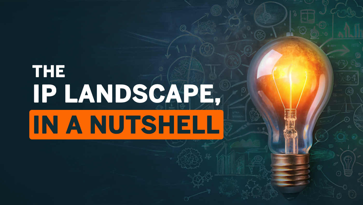 The IP landscape, in a nutshell